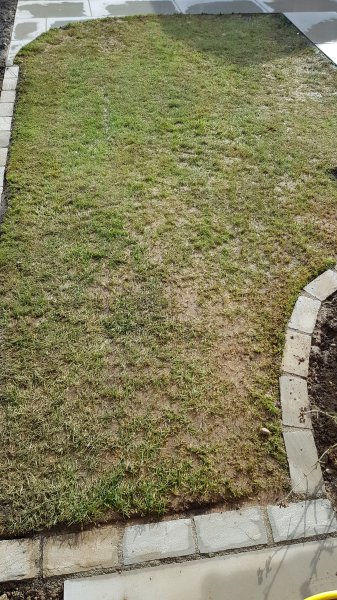 2020-03-07 10.36.31.jpg