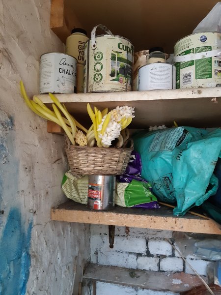 2020-03-17 14.42.44.jpg