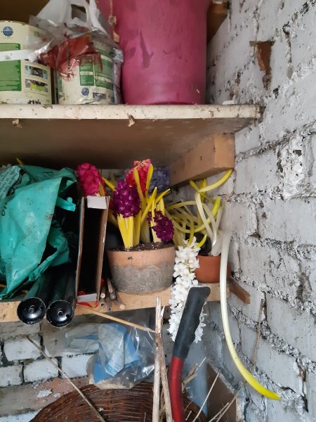 2020-03-17 14.42.49.jpg