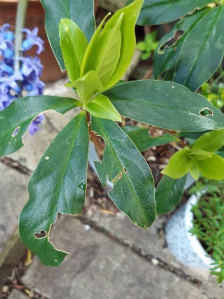 2020-03-31 14.41.09.jpg