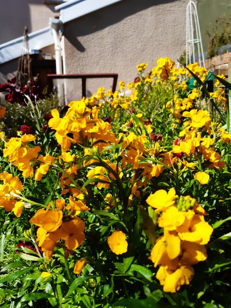 2020-04-06 14.03.22.jpg