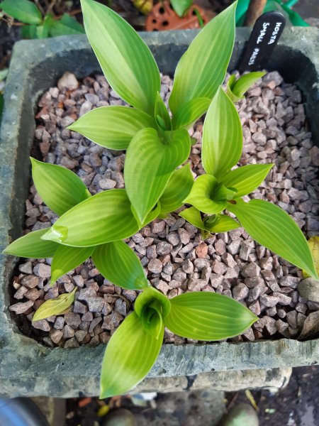 2020-04-06 14.08.00.jpg