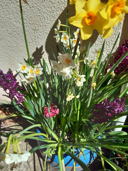 2020-04-06 14.08.49.jpg