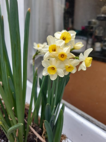 2020-04-09 15.47.53.jpg