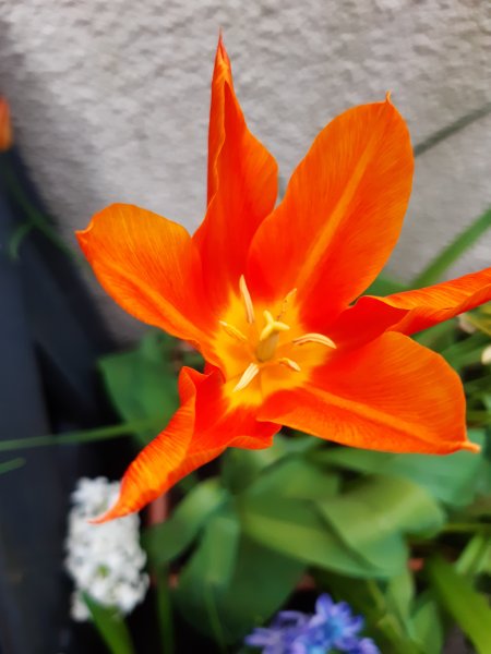 2020-04-09 15.48.15.jpg