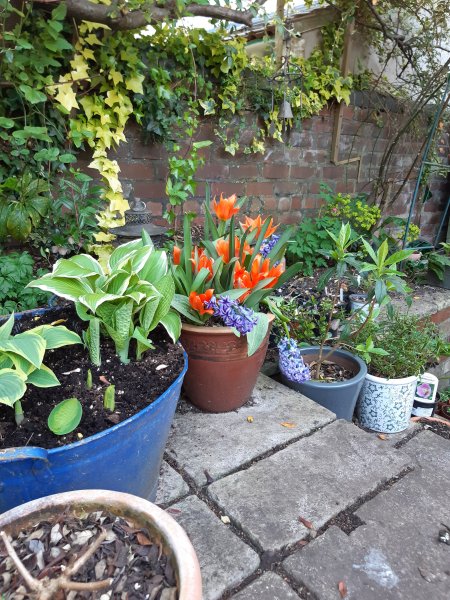 2020-04-10 17.10.02.jpg