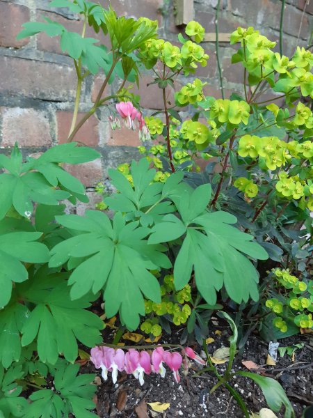 2020-04-10 17.10.14.jpg