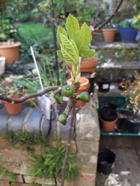 2020-04-11 12.26.42.jpg