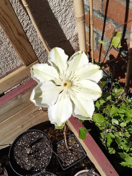 2020-04-14 13.36.08.jpg