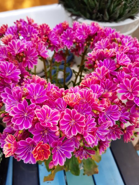 2020-04-24 10.56.56.jpg