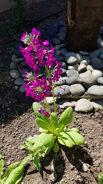 2020-05-30 14.16.37.jpg