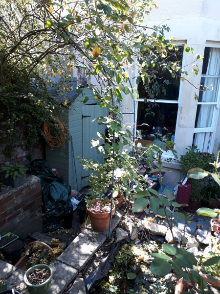 2020-06-02 15.59.34.jpg