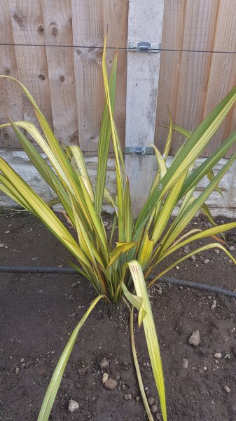 2020-06-09 08.41.25.jpg