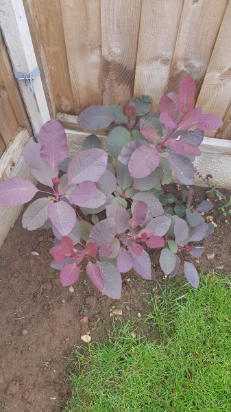 2020-06-19 09.54.45.jpg