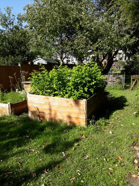 2020-06-21 17.44.56.jpg