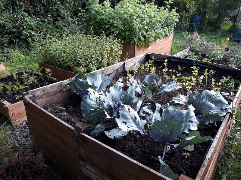 2020-07-02 18.06.34.jpg