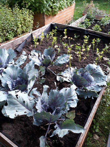 2020-07-02 18.06.40.jpg