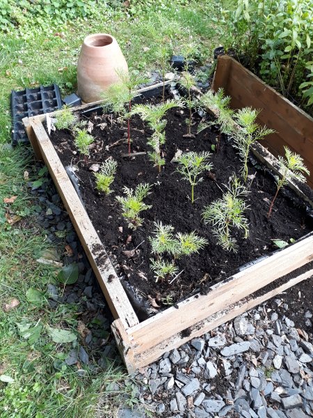 2020-07-02 18.06.46.jpg