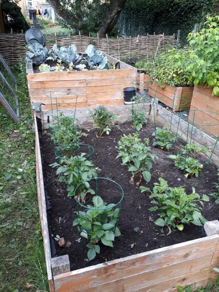 2020-07-02 18.07.01.jpg