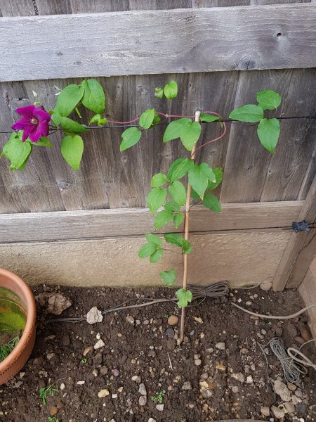 2020-07-16 18.28.55.jpg