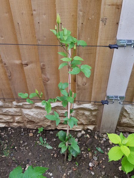 2020-07-16 18.29.32.jpg