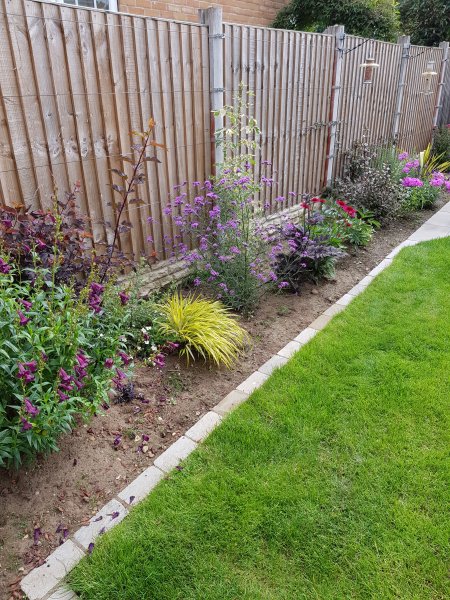 2020-07-17 11.02.18.jpg