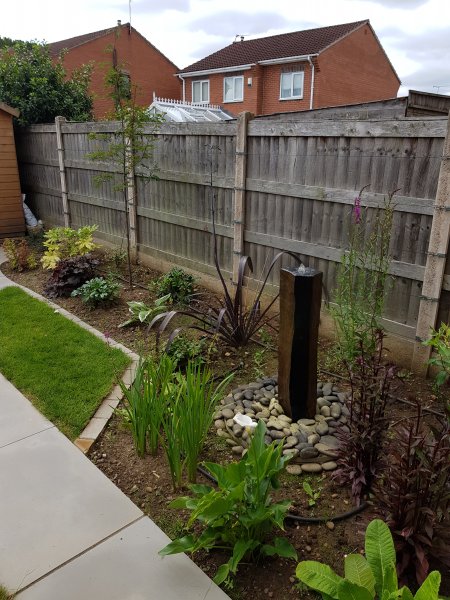 2020-07-17 11.02.42.jpg