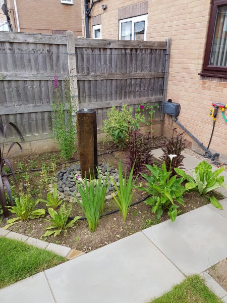 2020-07-17 11.02.55.jpg