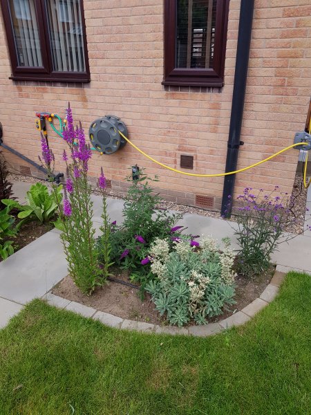 2020-07-17 11.03.00.jpg