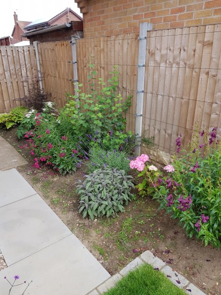 2020-07-17 11.03.11.jpg