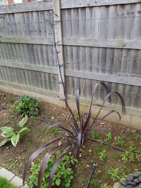 2020-07-18 10.14.12.jpg