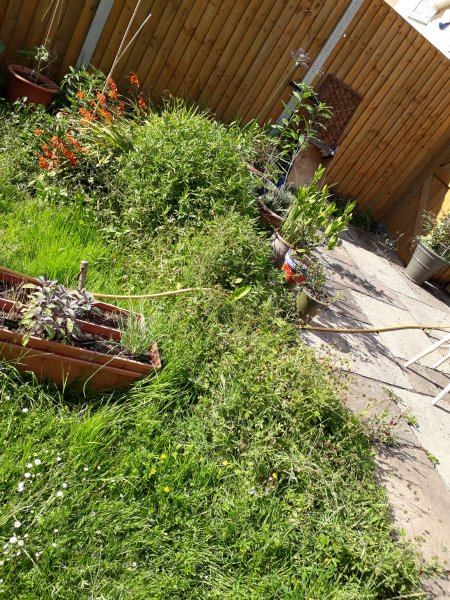 2020-07-19 17.23.19.jpg