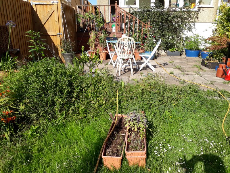 2020-07-19 17.23.28.jpg