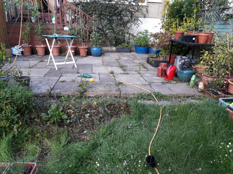 2020-07-19 18.18.26.jpg