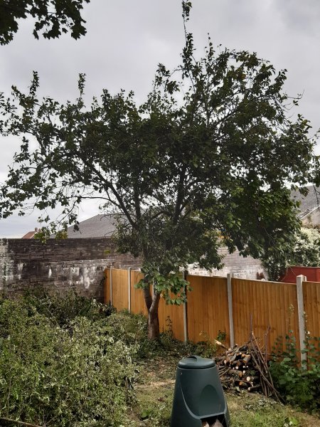 2020-08-05 17.46.44.jpg