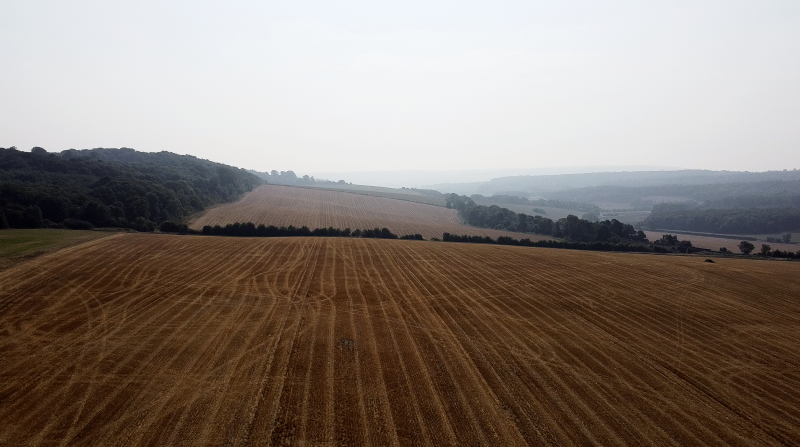 2020-08-13 at 09.12.38.PNG