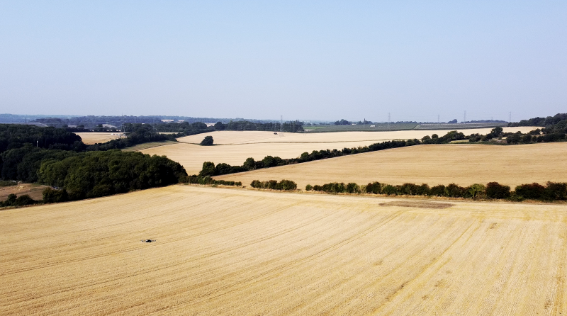 2020-08-13 at 09.13.13.PNG