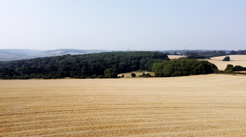 2020-08-13 at 09.13.39.PNG