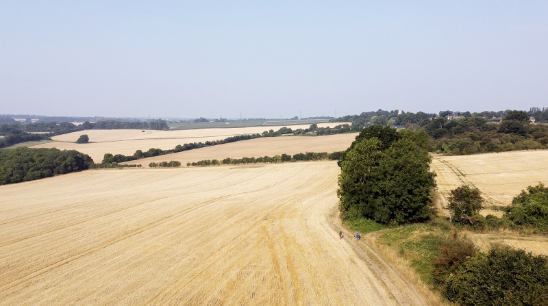 2020-08-13 at 09.14.26.PNG