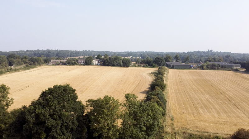 2020-08-13 at 09.14.55.PNG