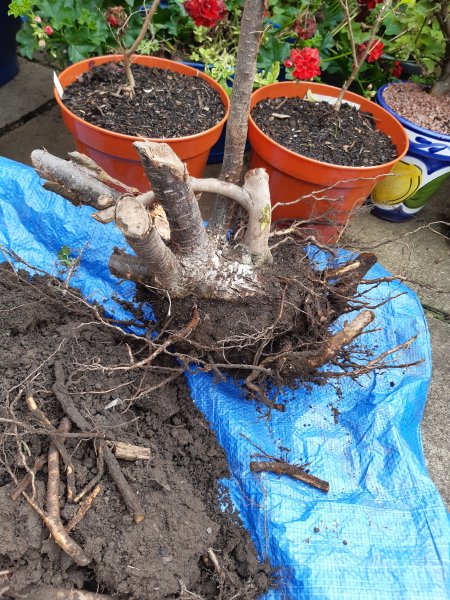 2020-10-07 14.09.54.jpg