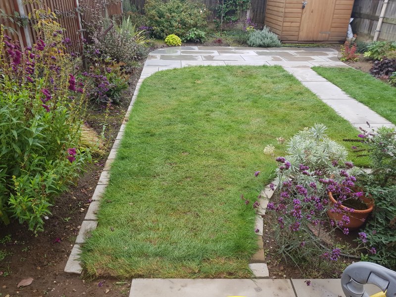 2020-10-08 11.09.28.jpg