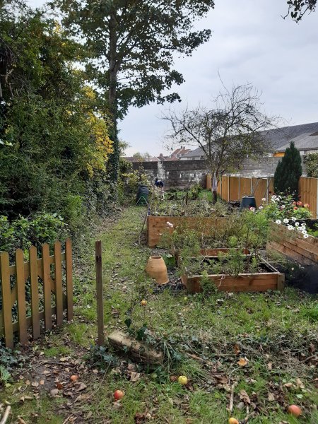 2020-10-17 15.35.09.jpg