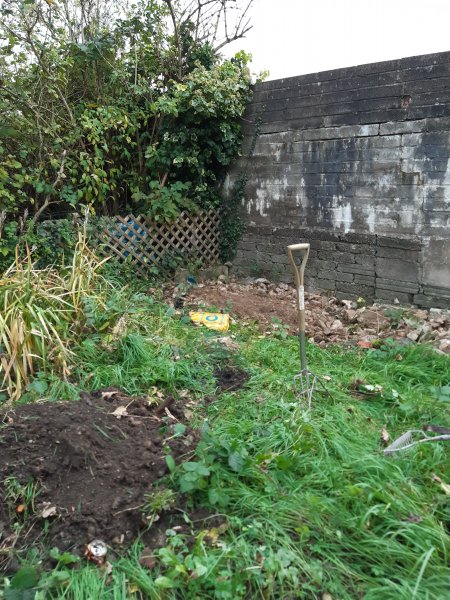 2020-10-17 16.50.49.jpg