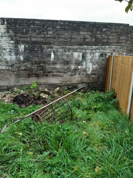 2020-10-17 16.50.55.jpg