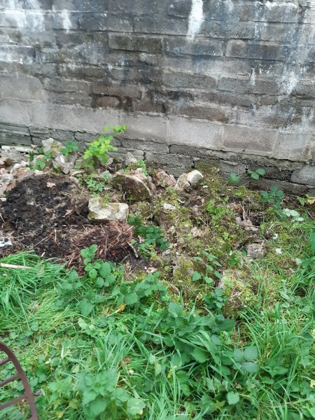 2020-10-17 16.51.06.jpg