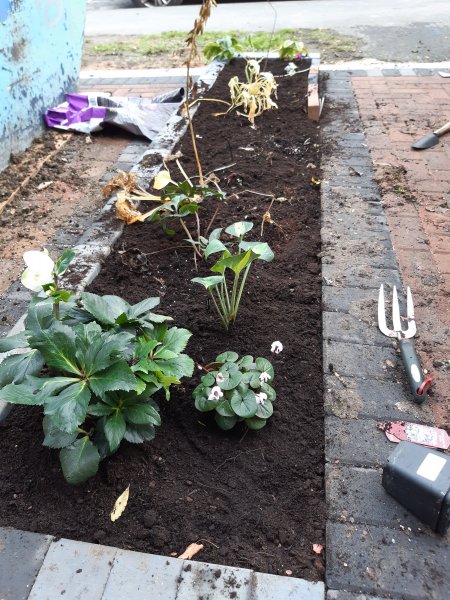 2020-10-26 13.21.34.jpg