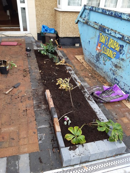 2020-10-26 13.21.44.jpg