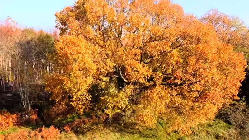 2020-11-08 (11)_Deep.jpg