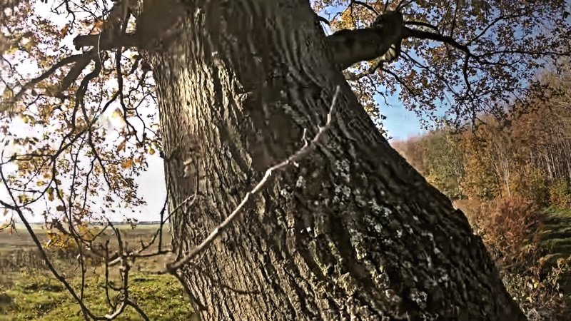 2020-11-08 (5)_Enhanced 2.jpg